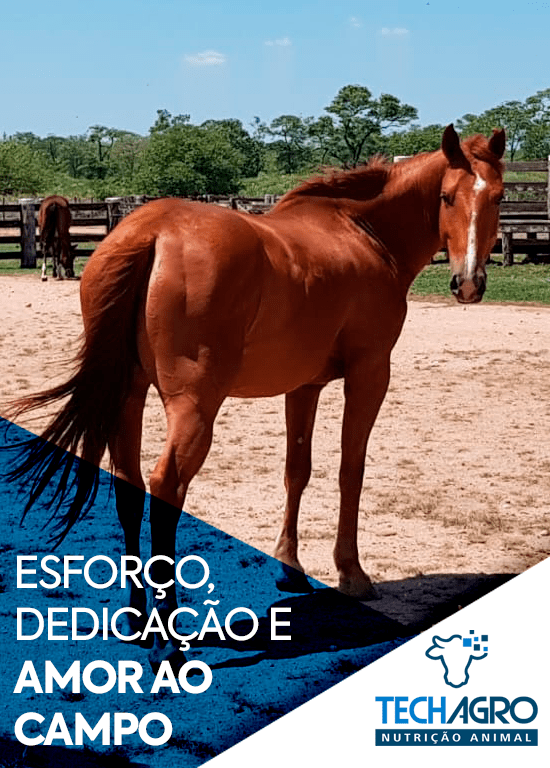 BANNER-SITE-MOBILE-01-min