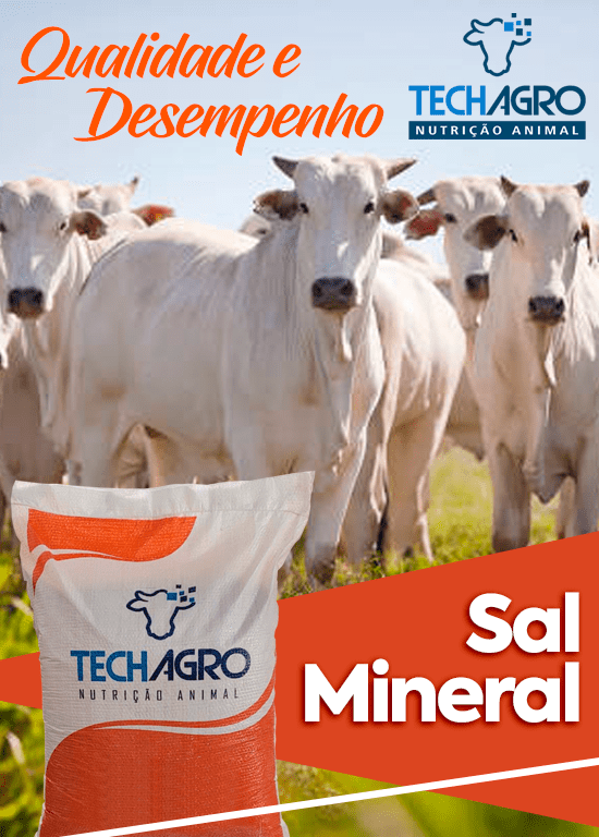 BANNER-SITE-MOBILE-04-min