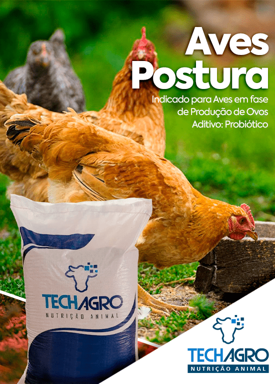 BANNER-SITE-MOBILE-05-min