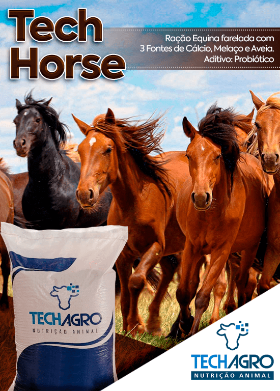 BANNER-SITE-MOBILE-06-min