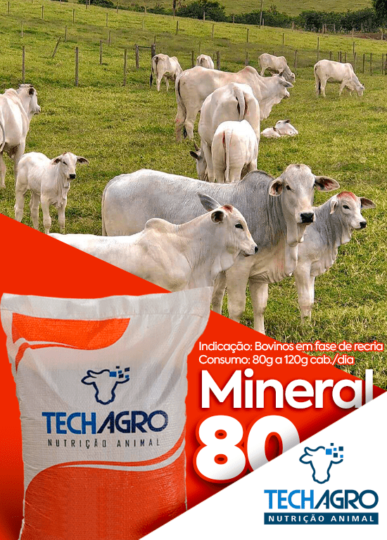 BANNER-SITE-MOBILE-09-min