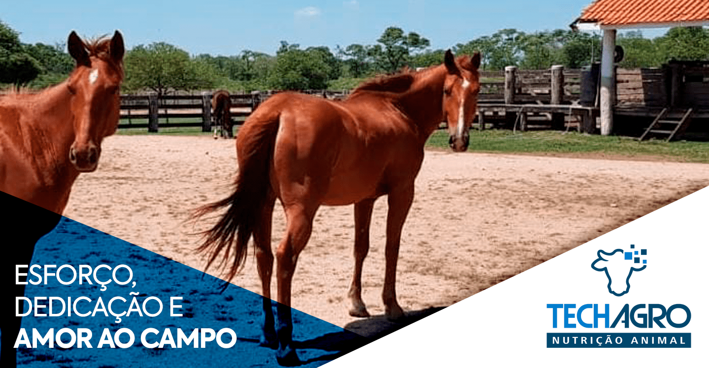 BANNER-SITE-PC-01-min