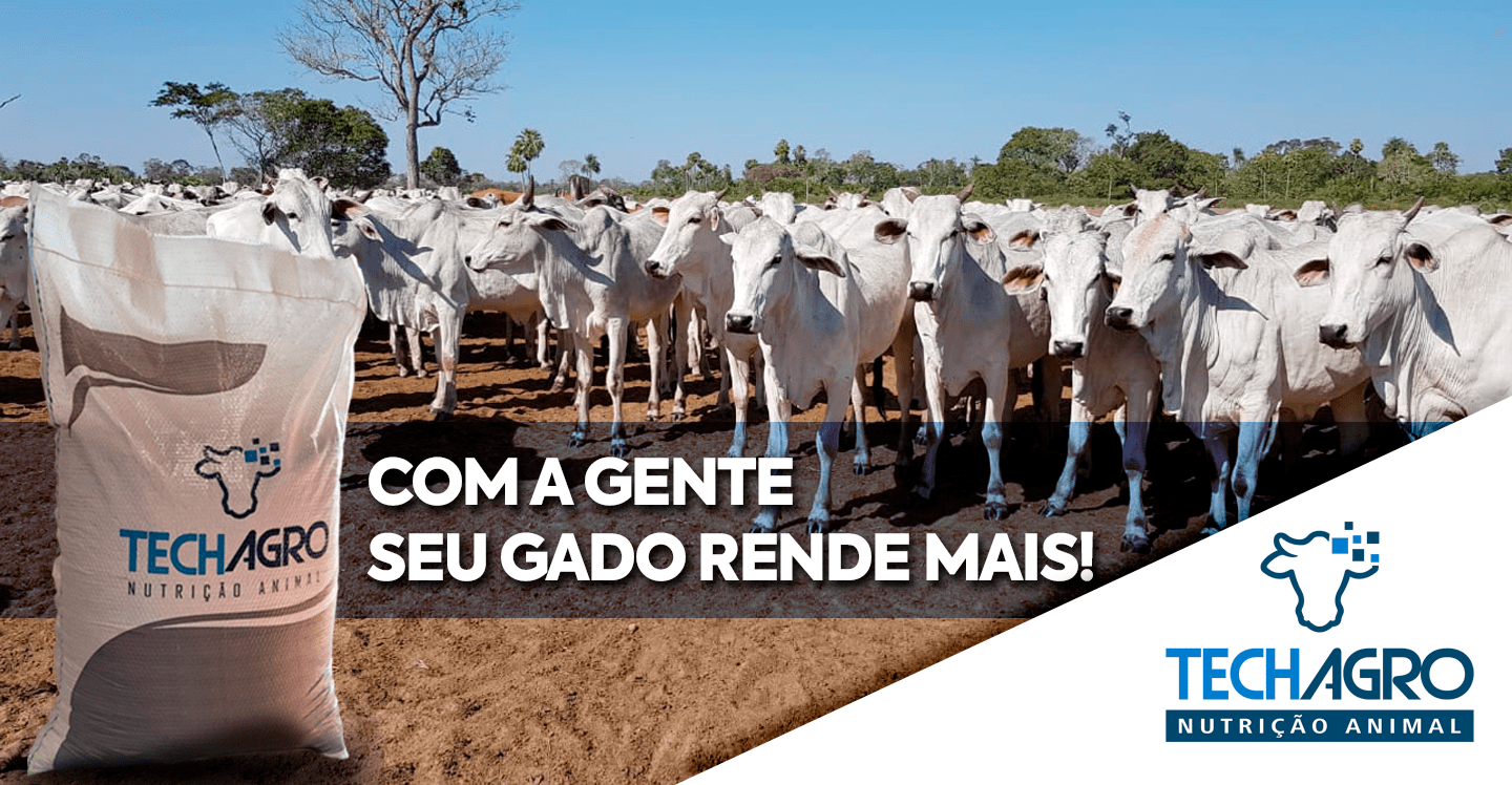 BANNER-SITE-PC-02-min