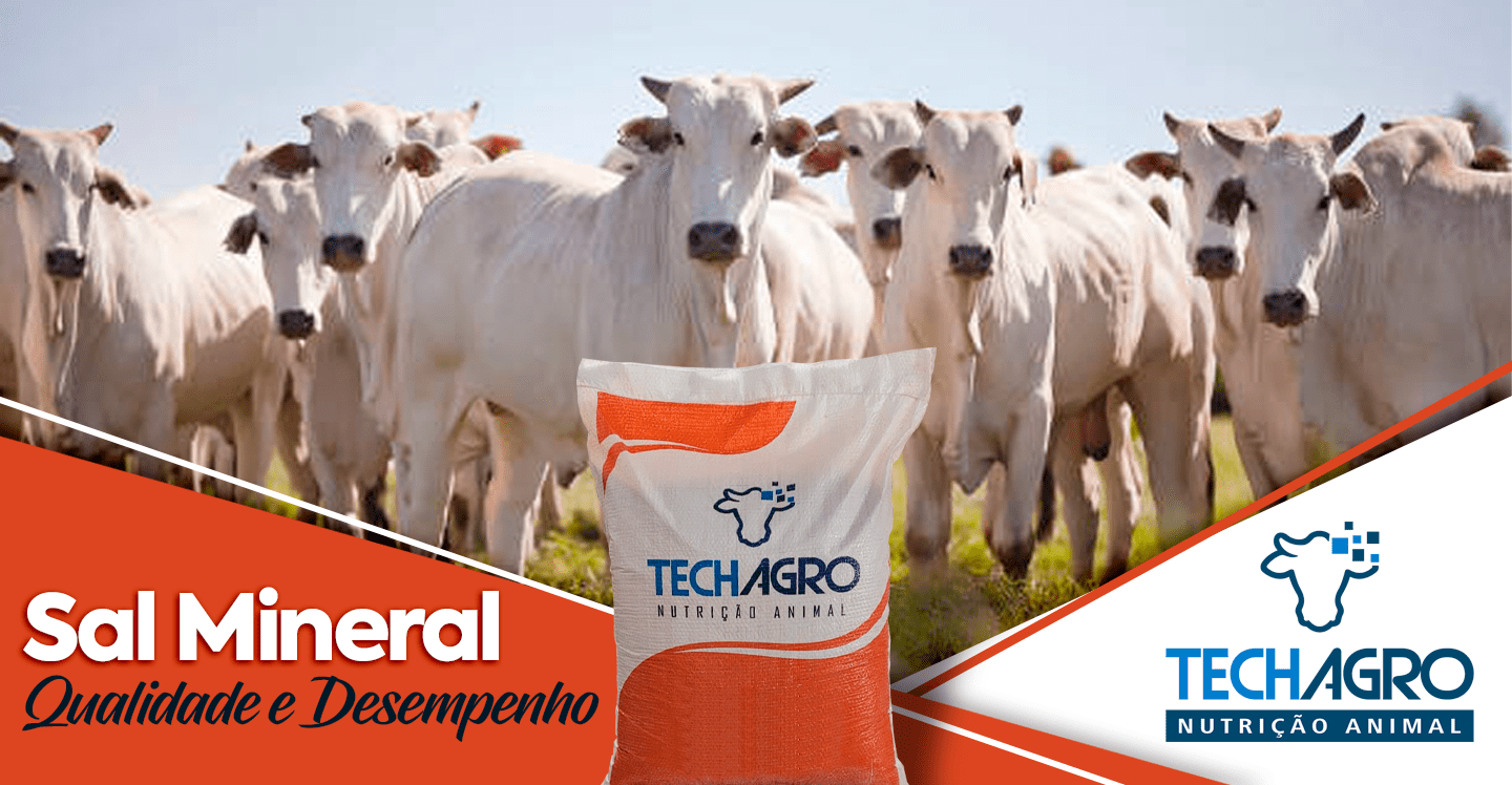 BANNER-SITE-PC-04-min