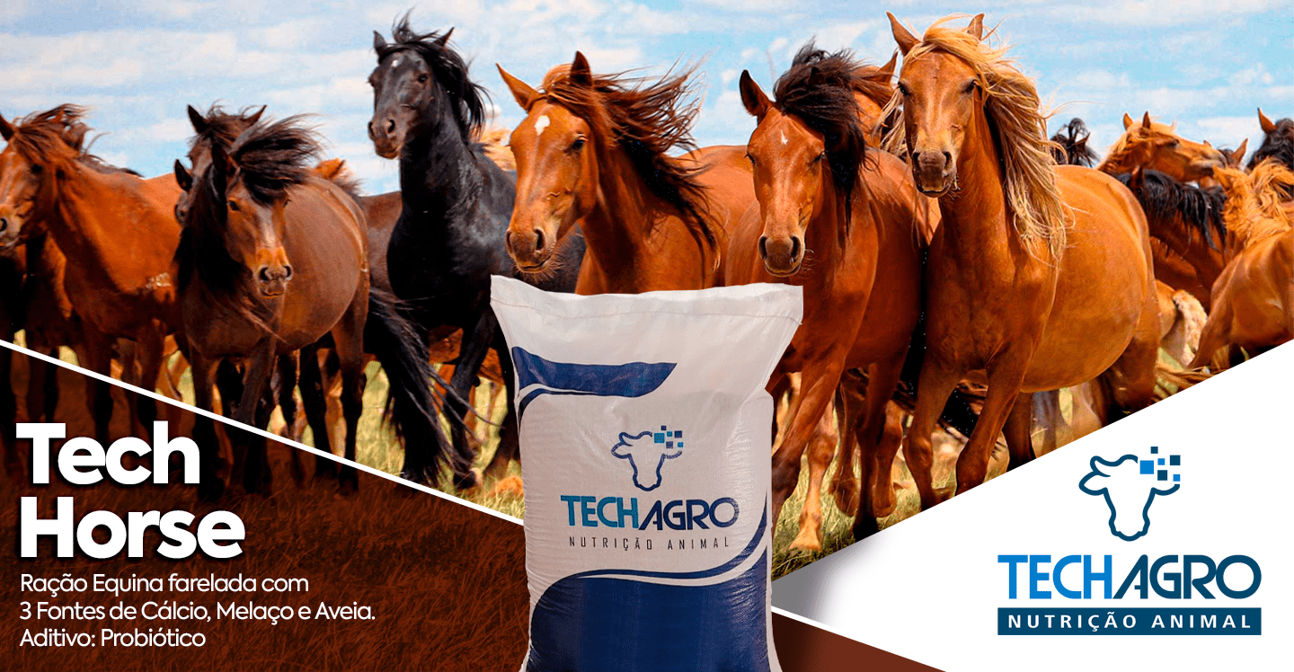 BANNER-SITE-PC-06-min