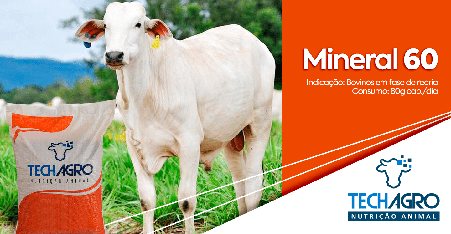 BANNER-SITE-PC-08-min