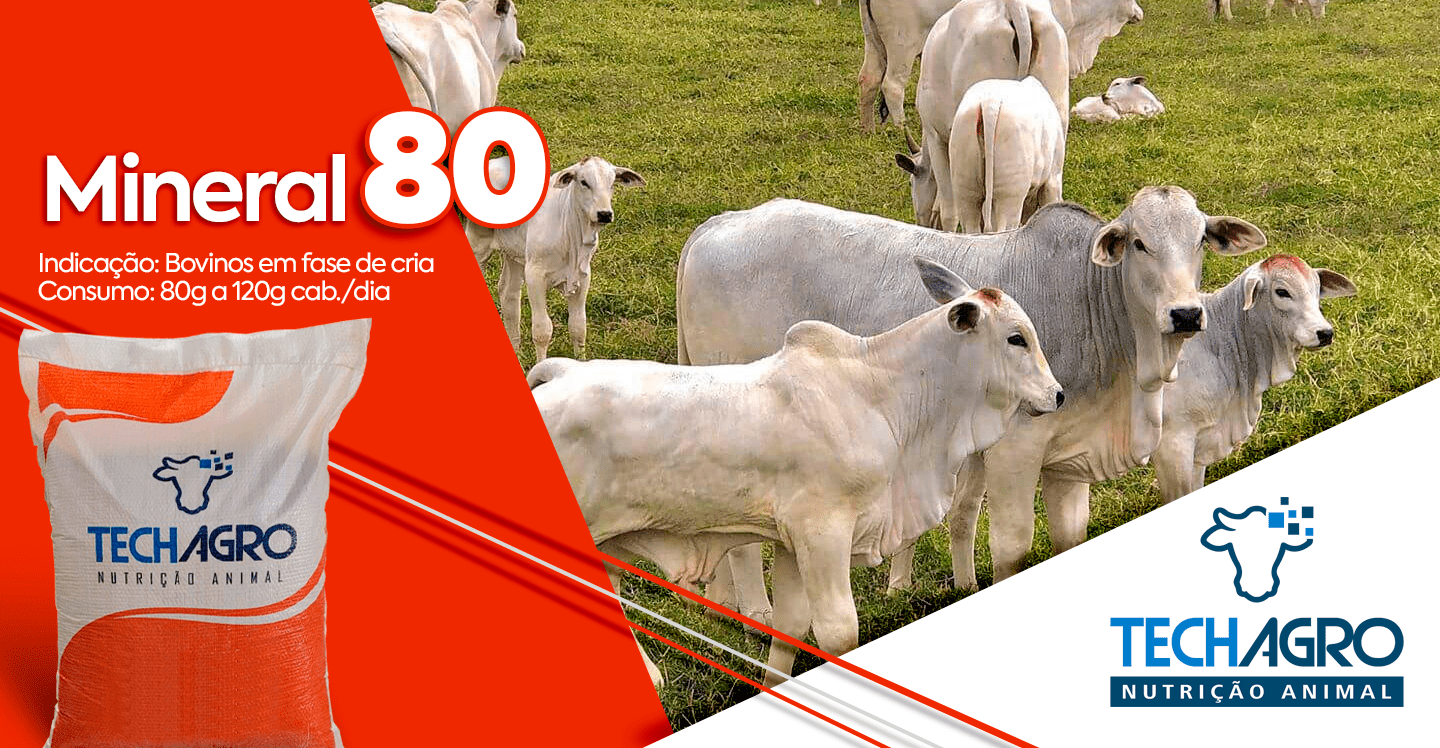 BANNER-SITE-PC-09-min