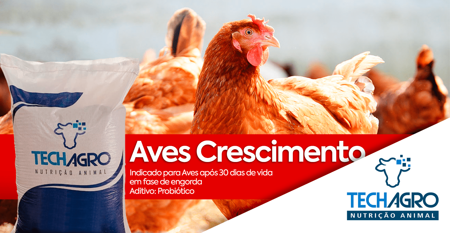 BANNER-SITE-PC-10-min